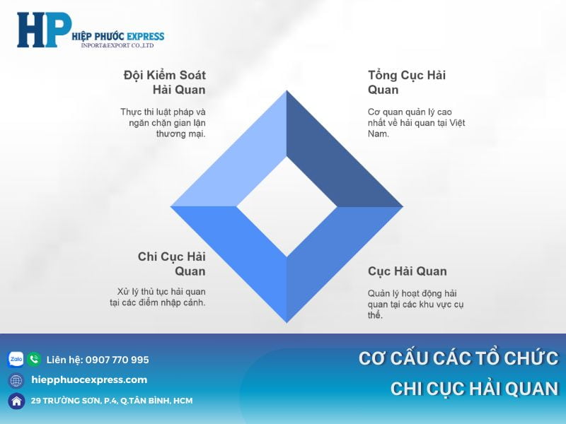 co cau to chuc cua chi cuc hai quan