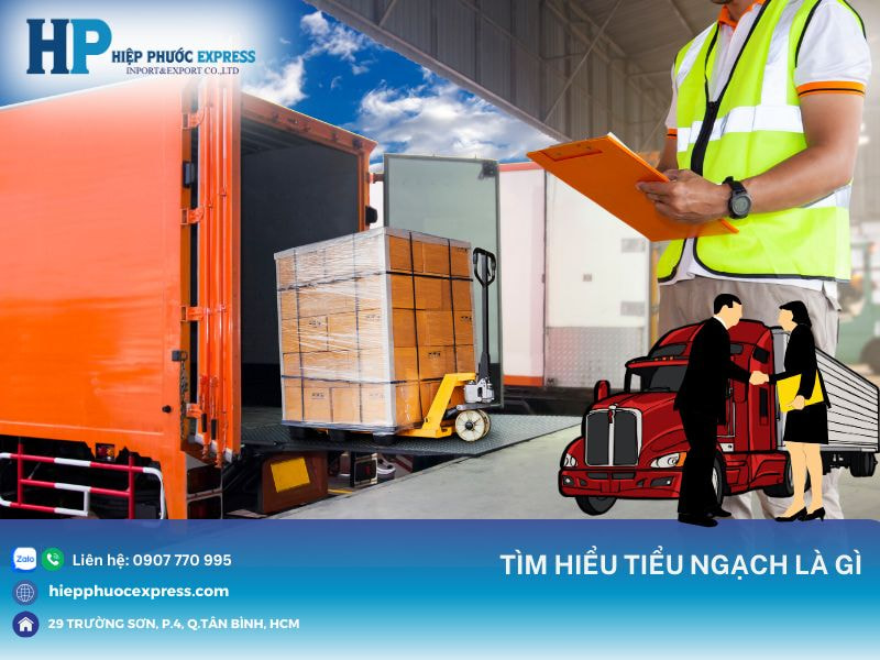 tiểu ngạch là gì