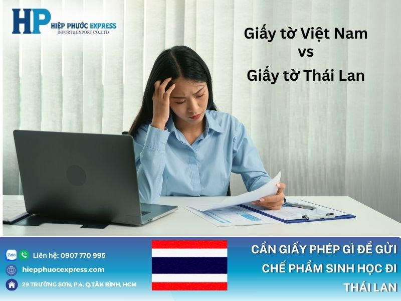 Các loại giấy tờ cần phải chuẩn bị khi vận chuyển chế phẩm đi Thái Lan