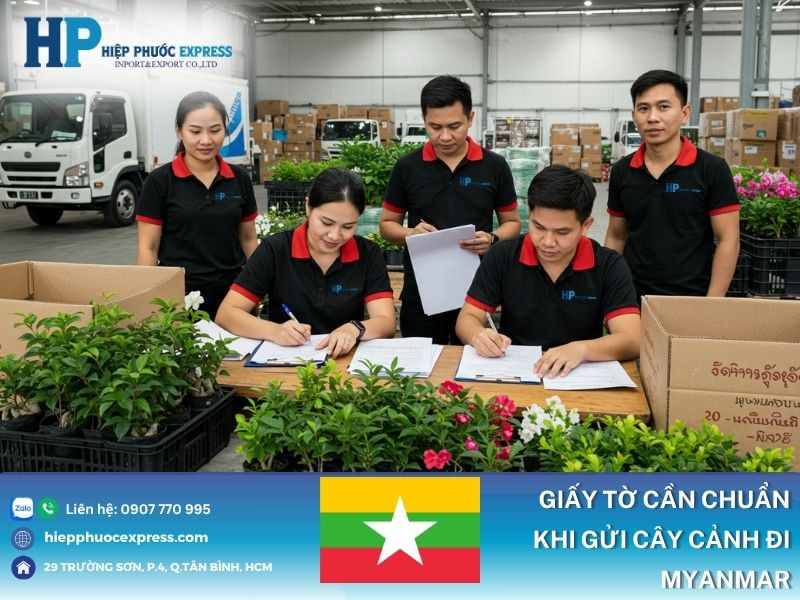 Thủ tục giấy tờ cần phải biết khi gửi cây cảnh đi Myanmar