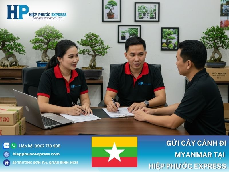 Gửi cây cảnh đi Myanmar tại Hiệp Phước Express