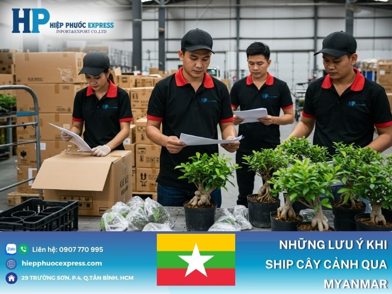 Những lưu ý khi ship cây cảnh đi Myanmar