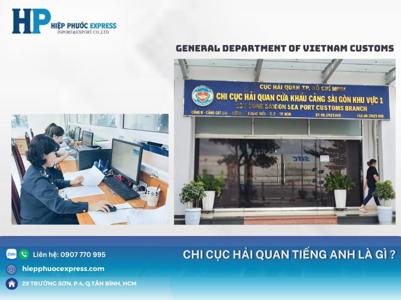 chi cuc hai quan la gi