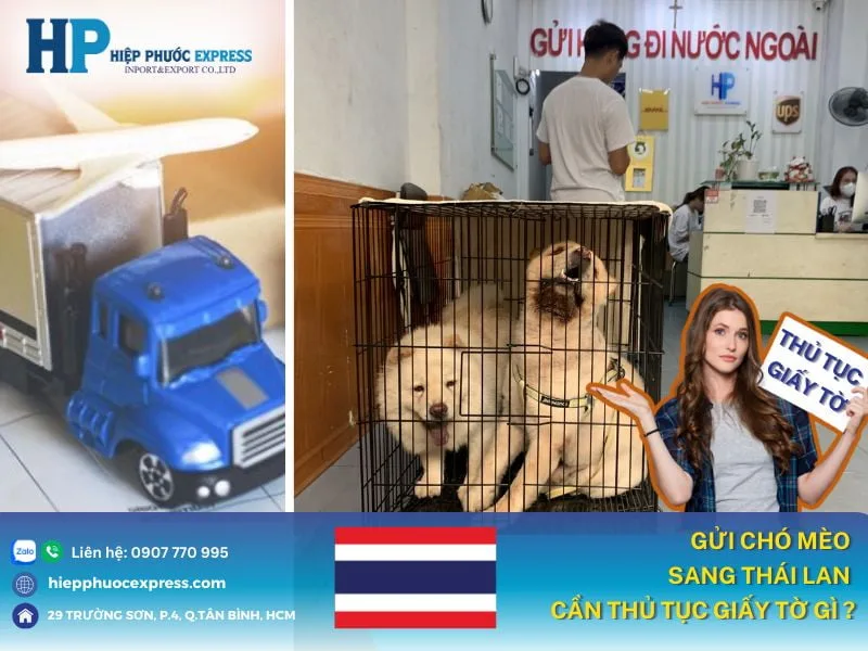 thu tuc giay to va quy dinh gui cho meo di thai lan thu tuc giay to va quy dinh gui cho meo di thai lan