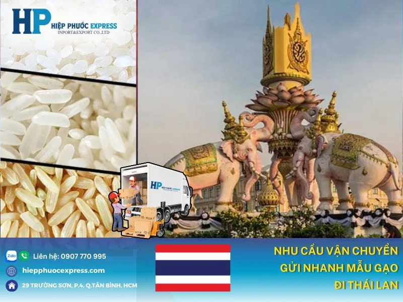 nhu cau dich vu gui mau gao di thai lan nhu cau dich vu gui mau gao di thai lan