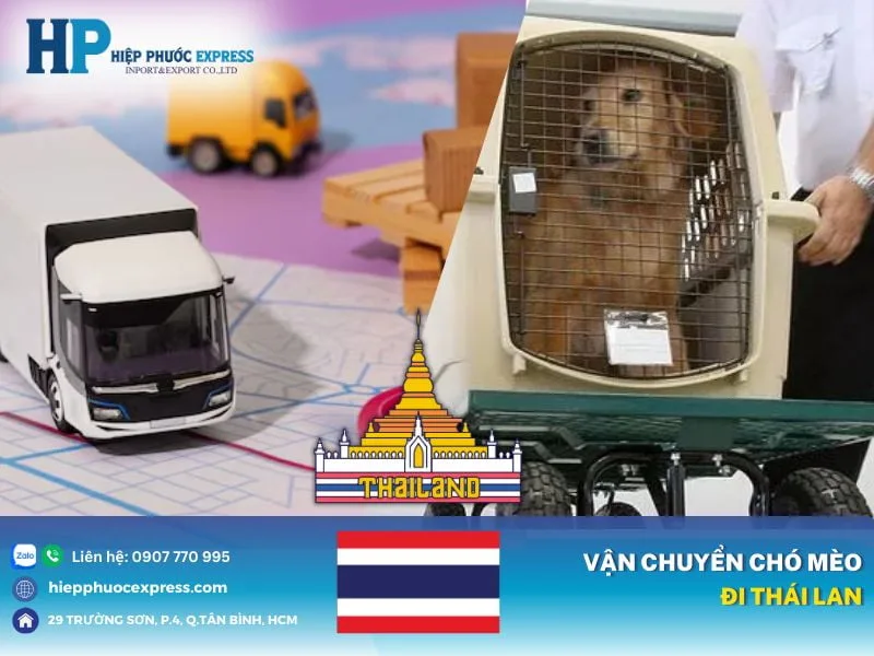 van chuyen cho meo di thai lan