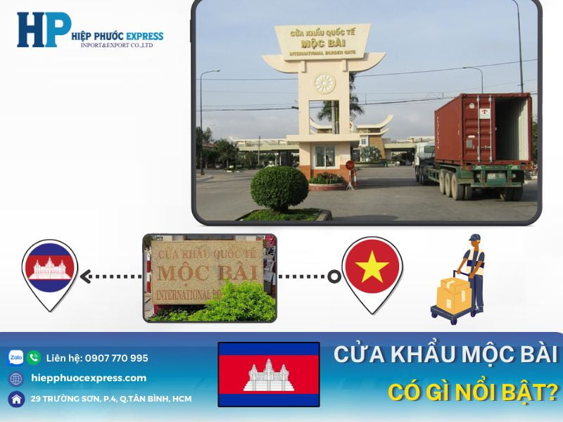 dac diem cua khau moc bai