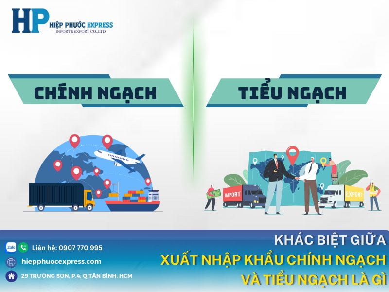 khac biet giua xuat nhap khau chinh ngach va tieu ngach la gi