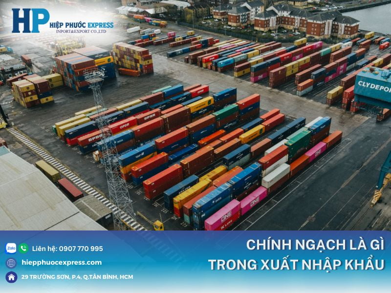 xuat nhap khau chinh ngach la gi