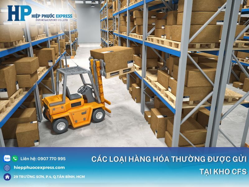 cac loai hang hoa thuong duoc luu tru tai kho cfs