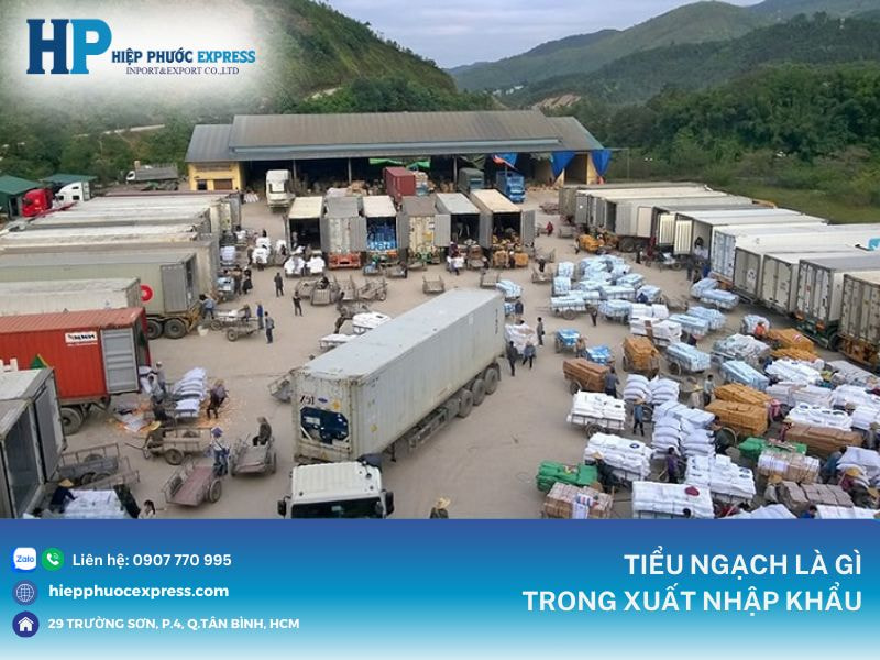 tiểu ngạch quan trọng như thế nào trong xuất nhập khẩu