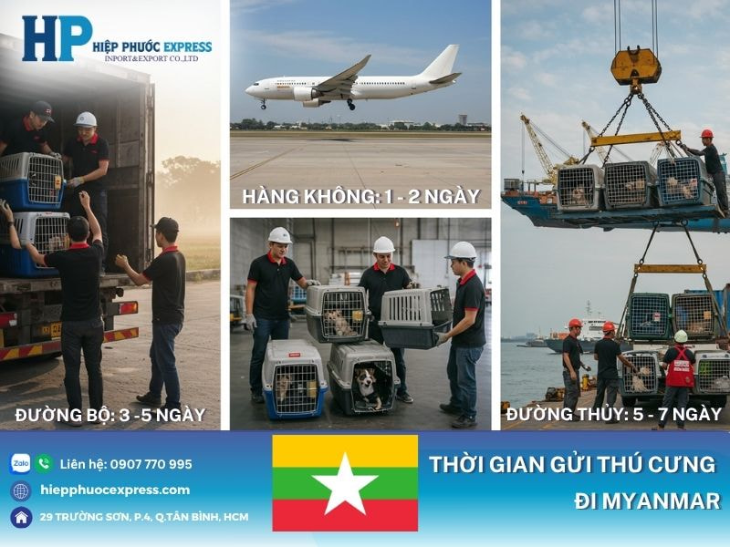 Thời gian gửi thú cưng đi Myanmar