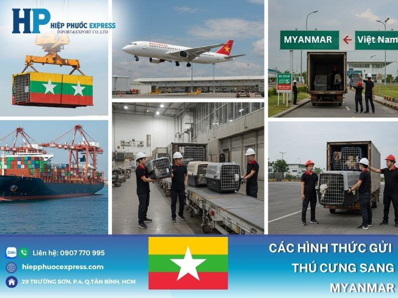 Những cách vận chuyển động vật sang Myanmar